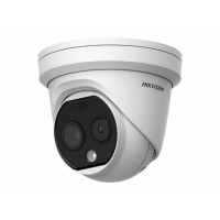 IP Видеокамера Hikvision DS-2TD1217-6/QA